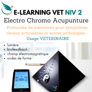 E-Learning pour les vétérinaires de niveau 2 - Formation de niveau 2 - Vétérinaire